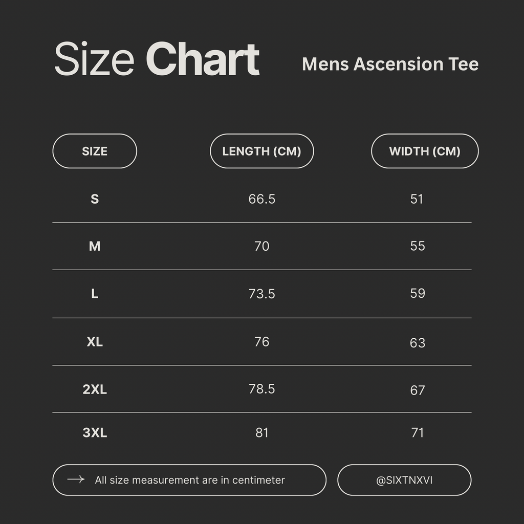 MENS ASCENSION TEE