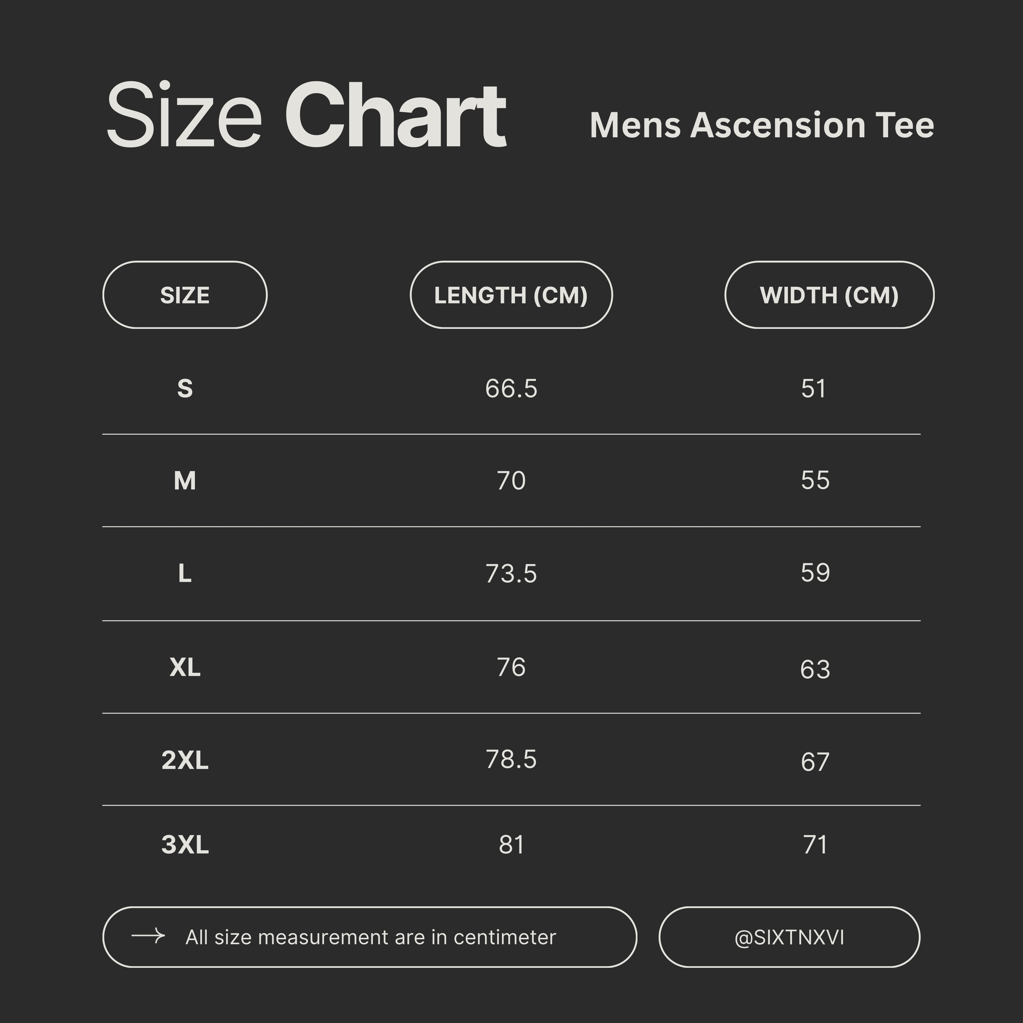MENS ASCENSION TEE